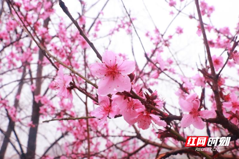 图片5.png 图片5.png