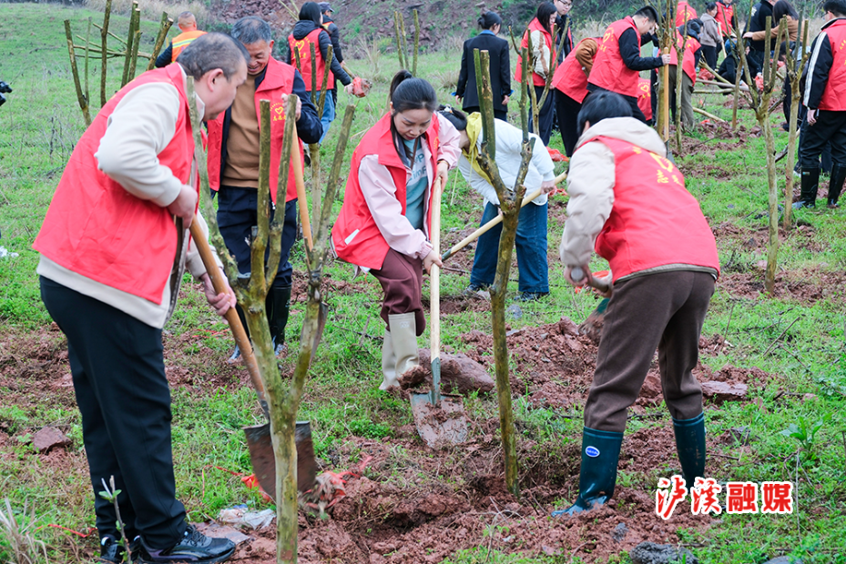 武溪镇3月植树 (2).jpg