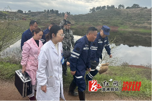 图片3.png 图片3.png