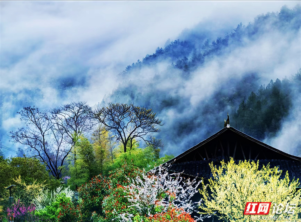 【每日一图@湖南】藏在新化的世外桃源，云雾与古村太配了