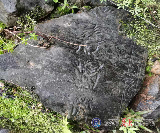 图片5.png 图片5.png