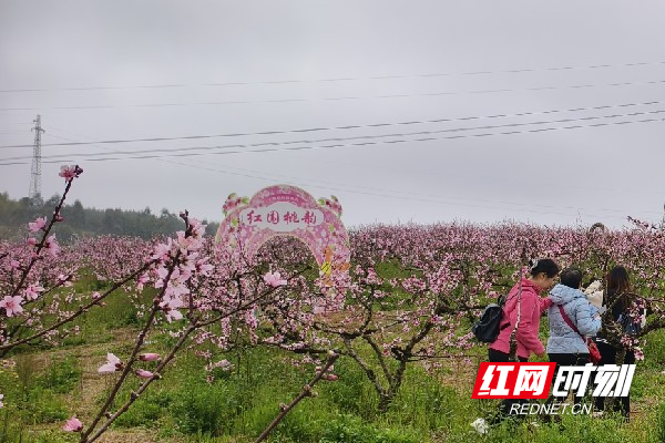 微信图片_20260401101910_5_1774.jpg 微信图片_20260401101910_5_1774.jpg