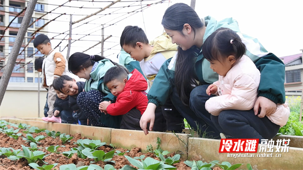 图片6.png 图片6.png