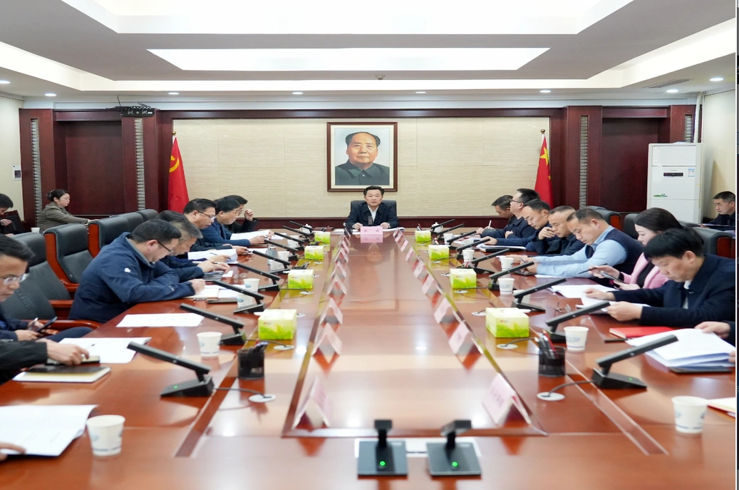 唐成主持召开区委人才工作领导小组会议