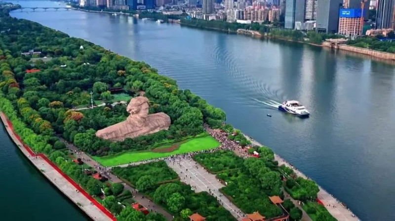 新区热土上，文艺人才正与时代同频共振，在生态共育中茁壮成长。