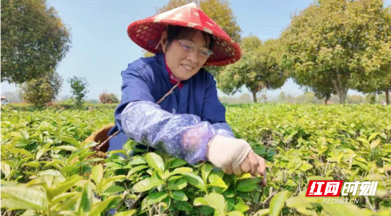 微信图片_20260402094102_513_3.png 微信图片_20260402094102_513_3.png