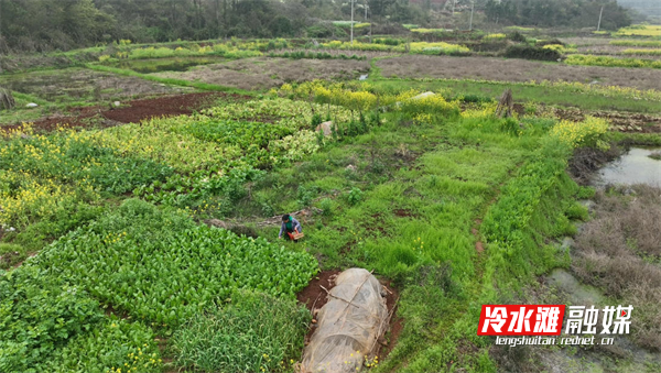 图片C1.png 图片C1.png