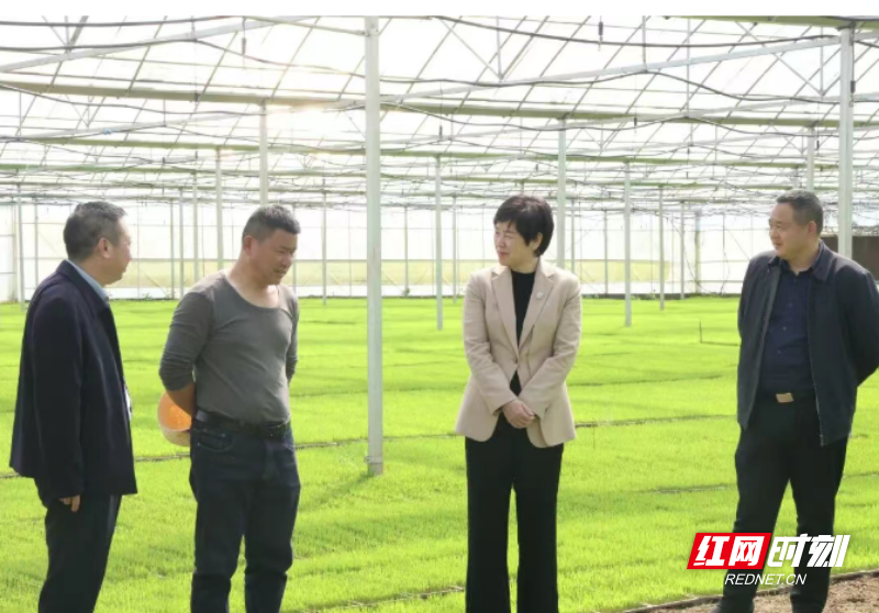 微信图片_20260402093522_509_3.png 微信图片_20260402093522_509_3.png