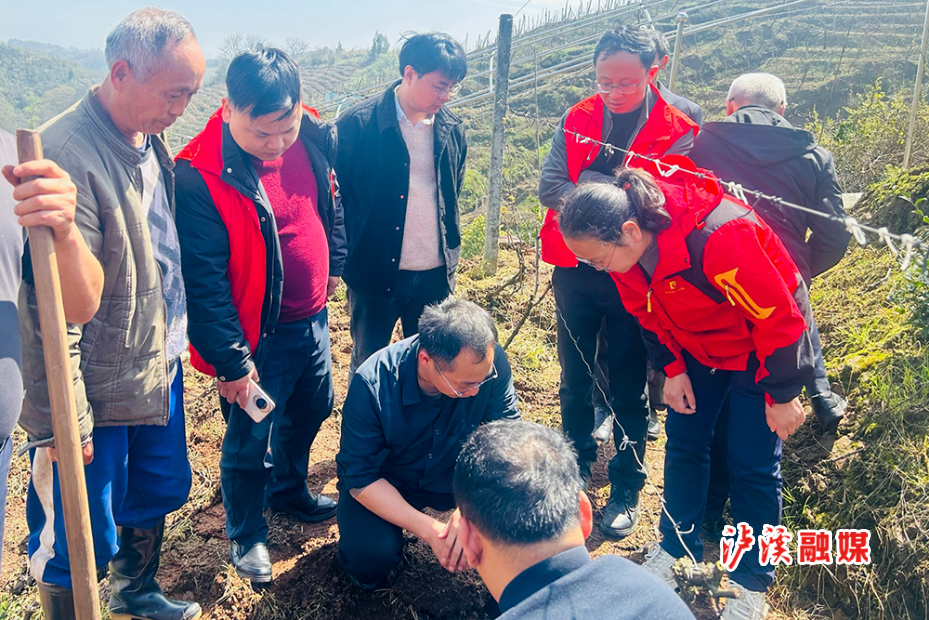 省葡萄协会 (1).jpg