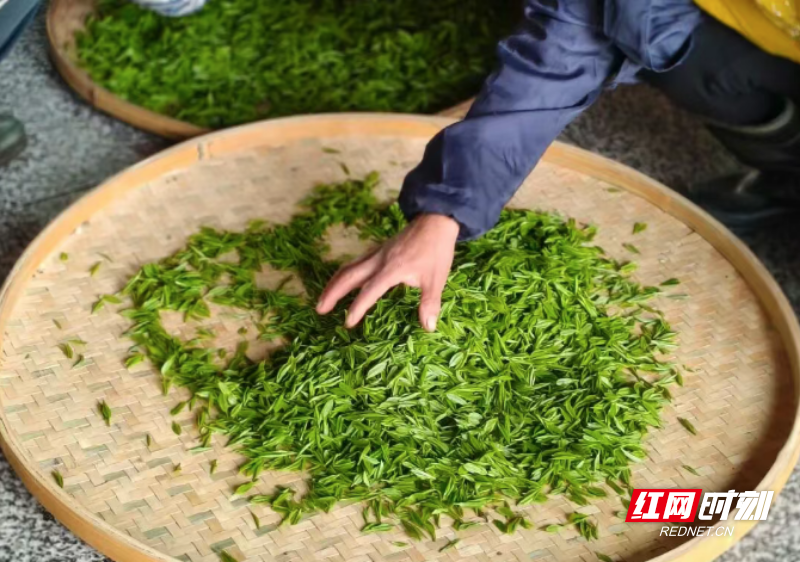 微信图片_20260402094127_517_3.png 微信图片_20260402094127_517_3.png