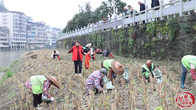 邵阳县：干群携手共治 擦亮河畔宜居底色(图2)