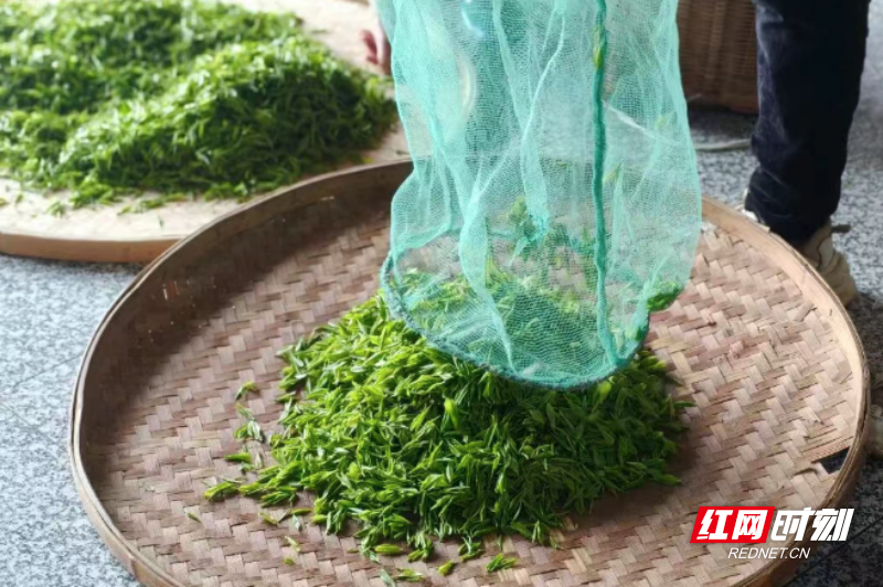 微信图片_20260402094114_515_3.png 微信图片_20260402094114_515_3.png