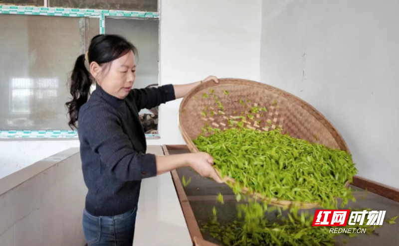 微信图片_20260402094120_516_3.png 微信图片_20260402094120_516_3.png