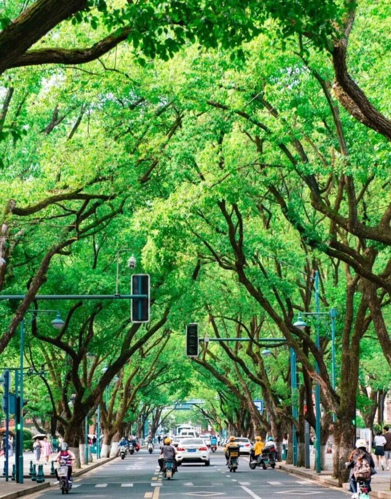 湘江新区正书写着一幅教育牵引经济，经济反哺教育的现代化样本。