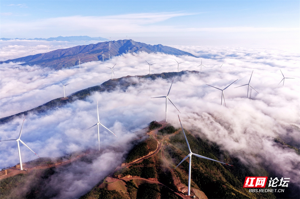 江永高山作舞台，风车在云海中起舞