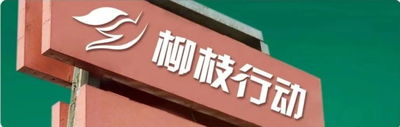 2015年,“柳枝行动”正式启动,为湘江新区创业者助力。均为 通讯员 供图 2015年,“柳枝行动”正式启动,为湘江新区创业者助力。均为 通讯员 供图