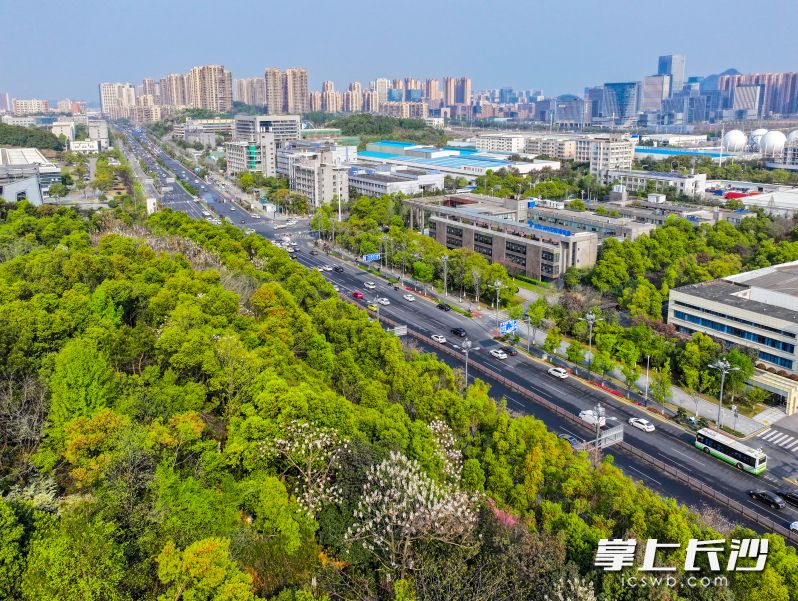 湘江新区以科技创新为“提速器”，以数字经济为“新动能”，推动产业数字化和数字产业化协同发展。