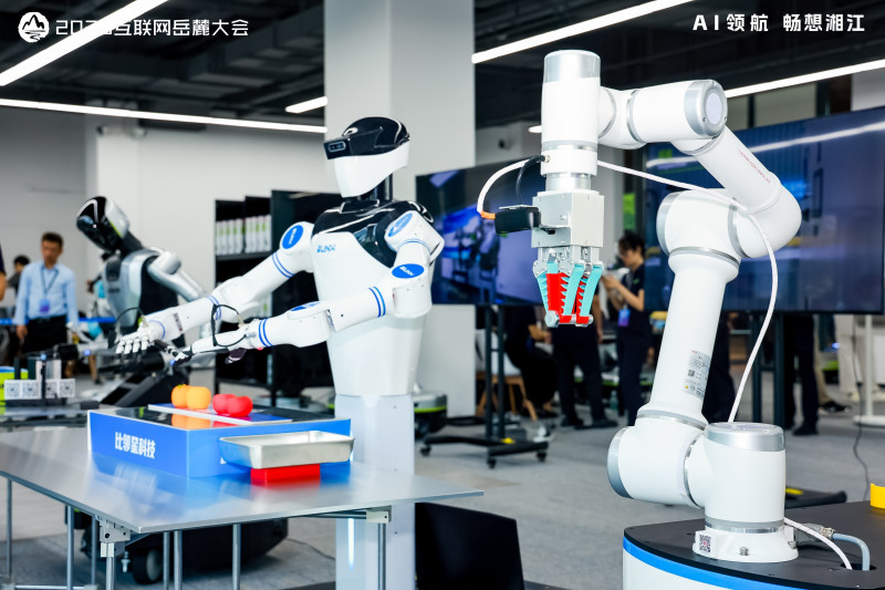 2025互联网岳麓大会机器人体验中心汇聚一系列最新机器人成果，让人眼前一亮。