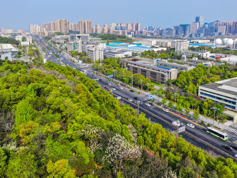 中联重科、威胜信息等上市公司作为园区内的代表性企业带动产业链协同发展。