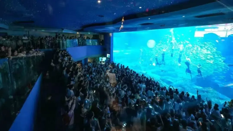 人鱼表演掀起观演热潮。