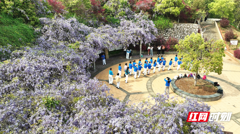 3月30日(1)_副本.jpg 3月30日(1)_副本.jpg