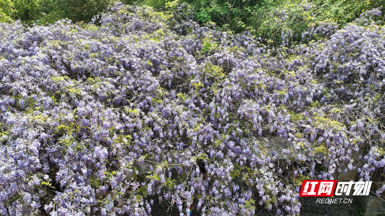 3月30日_副本.jpg 3月30日_副本.jpg