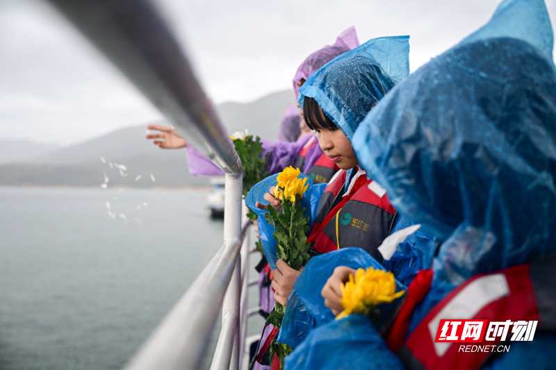 DSC_6182.jpg DSC_6182.jpg