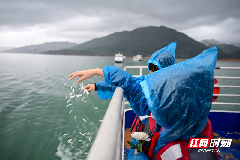 DSC_6428.jpg DSC_6428.jpg