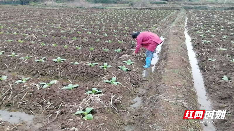 微信图片_20260403211446_306_117.jpg 微信图片_20260403211446_306_117.jpg