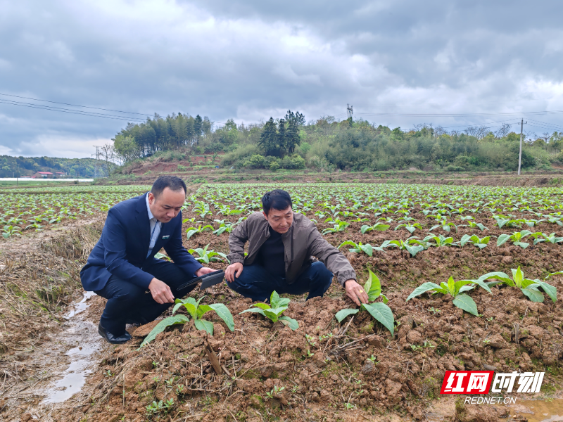 微信图片_20260403211448_307_117.jpg 微信图片_20260403211448_307_117.jpg