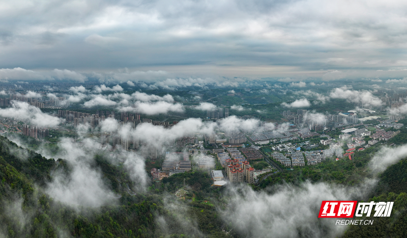 WechatIMG48784.png WechatIMG48784.png