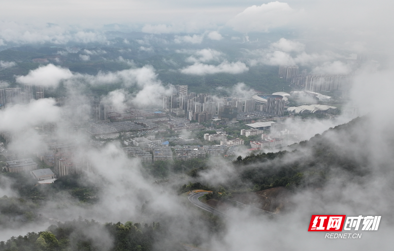 WechatIMG48783.png WechatIMG48783.png