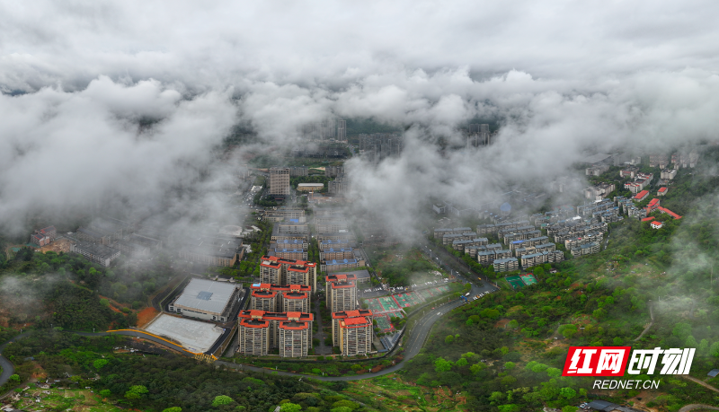 WechatIMG48778.png WechatIMG48778.png