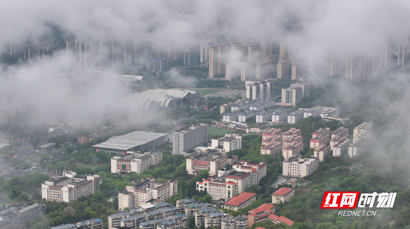 WechatIMG48775.png WechatIMG48775.png