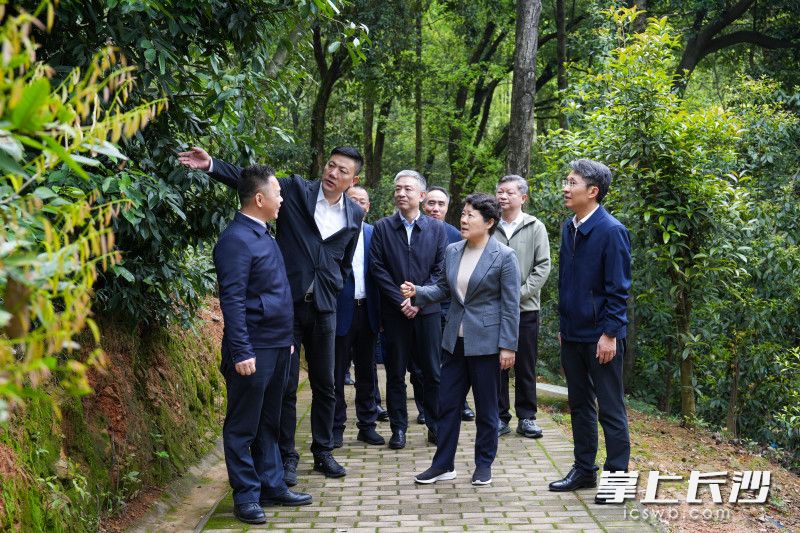 秀峰山公园检查现场。