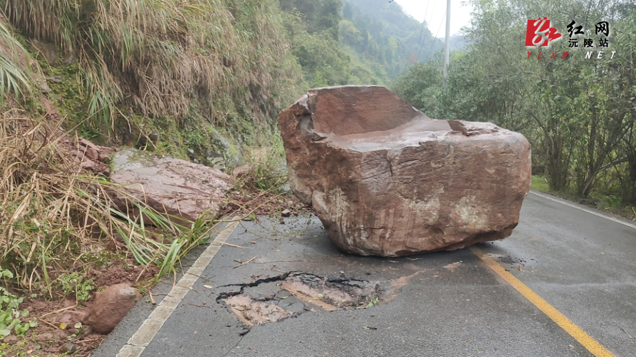 微信图片_20260405170212.jpg 微信图片_20260405170212.jpg