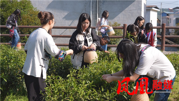 Still0406_00028.jpg Still0406_00028.jpg