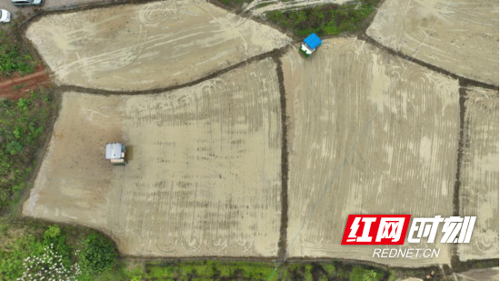 宜章：早稻插秧正当时   机械化助力忙春耕 （新媒体）734.png