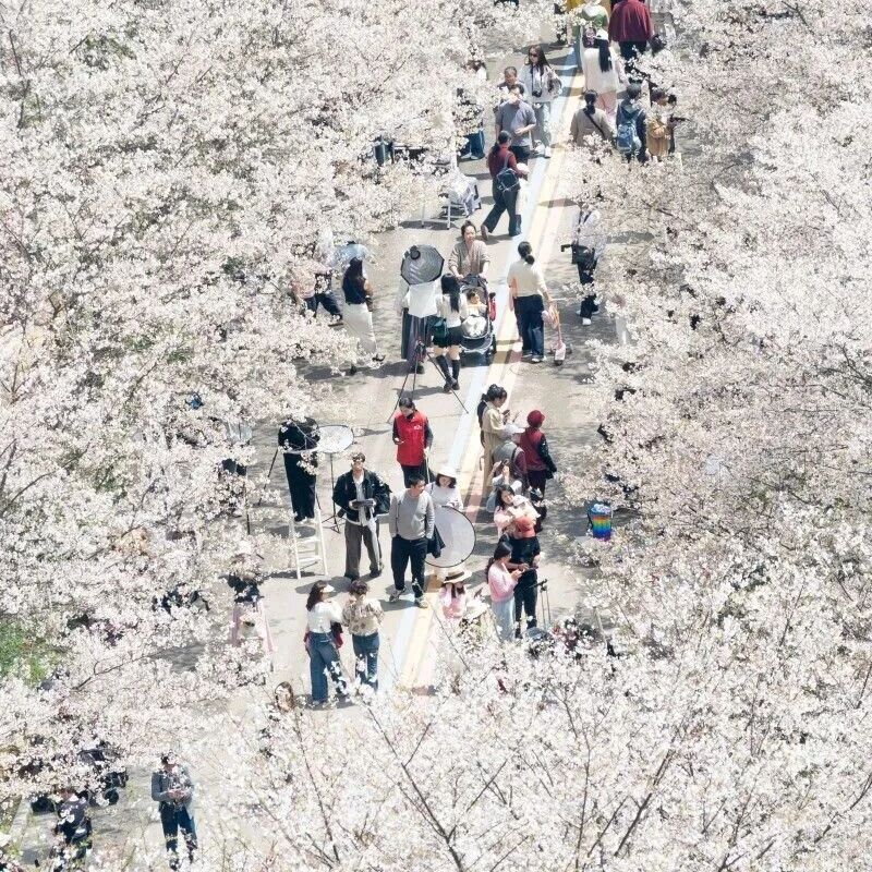 清明假期长沙接待游客498.59万人次,旅游消费18.03亿元!