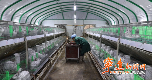 宁远:多元产业赋能乡村振兴2_副本500.png 宁远:多元产业赋能乡村振兴2_副本500.png