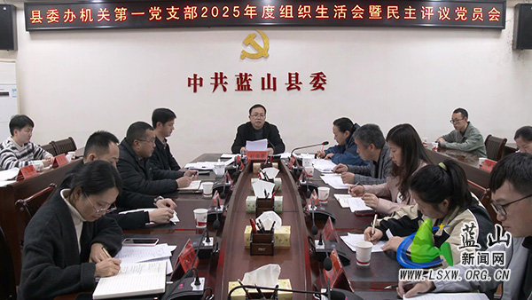 县委办机关第一党支部2025年度组织生活会暨民主评议党员会召开.jpg
