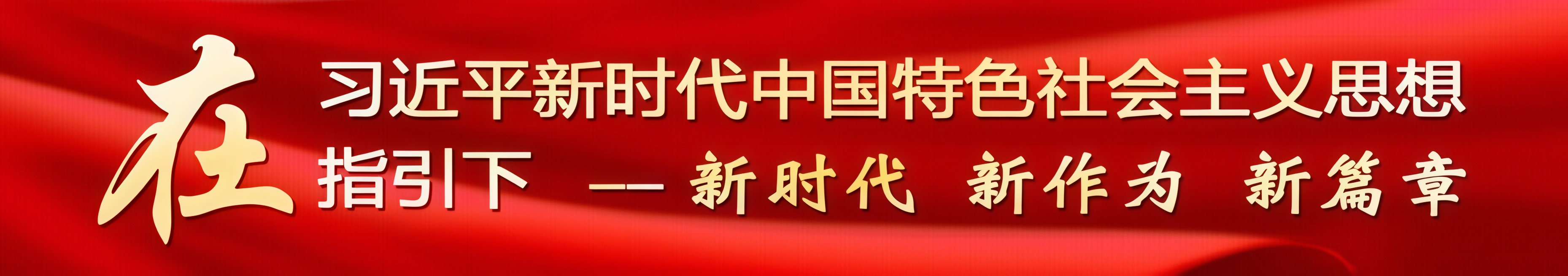 专题│新时代 新作为 新篇章