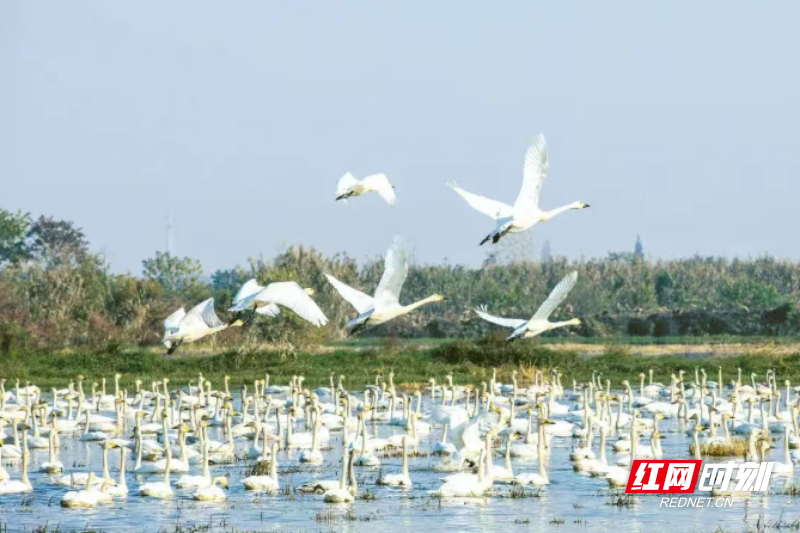 微信图片_20260408102027_534_3.png 微信图片_20260408102027_534_3.png