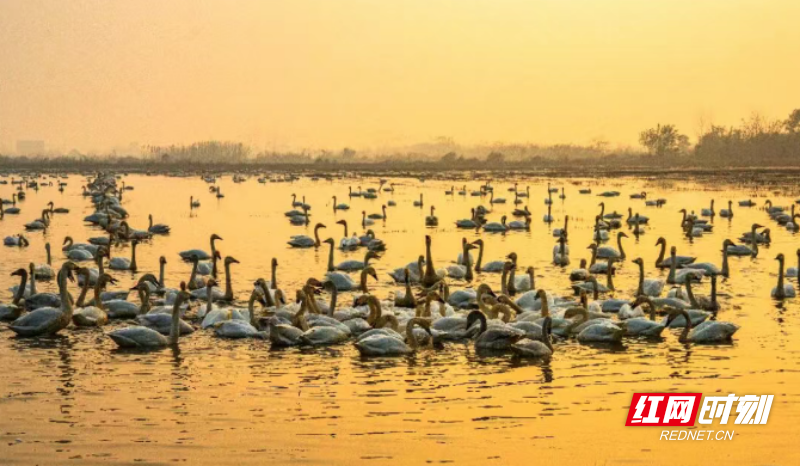 微信图片_20260408102034_535_3.png 微信图片_20260408102034_535_3.png