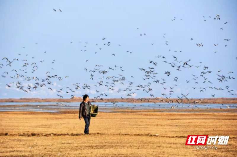 微信图片_20260408102054_537_3.png 微信图片_20260408102054_537_3.png