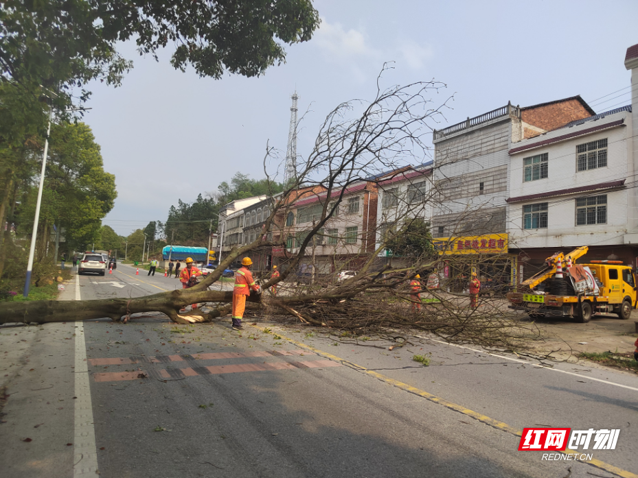 微信图片_20260408170425_137_184.jpg 微信图片_20260408170425_137_184.jpg