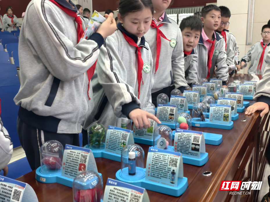 图片13.jpg 图片13.jpg