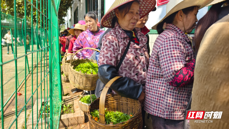 微信图片_20260408163608_412_294.jpg 微信图片_20260408163608_412_294.jpg