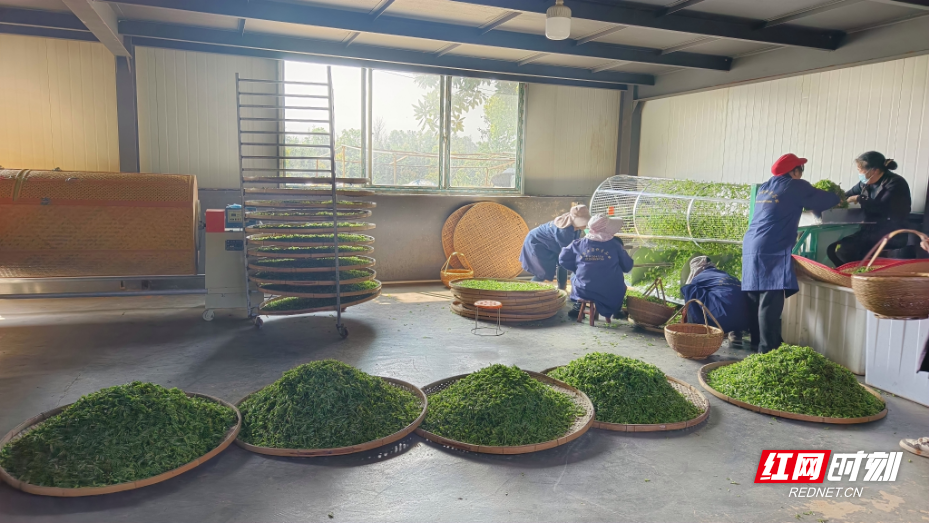 微信图片_20260407162331_401_294.jpg 微信图片_20260407162331_401_294.jpg