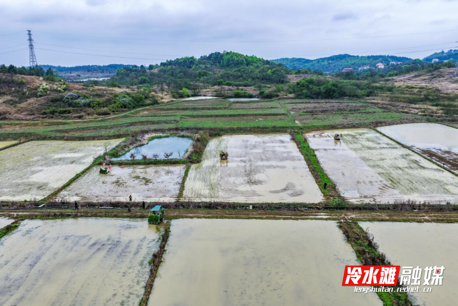 图片1.png 图片1.png